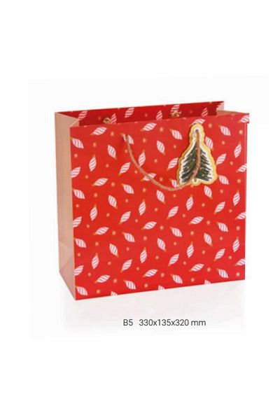 Gıpta Gipta B5 Lior Gift Cardboard Bag - Bg0178