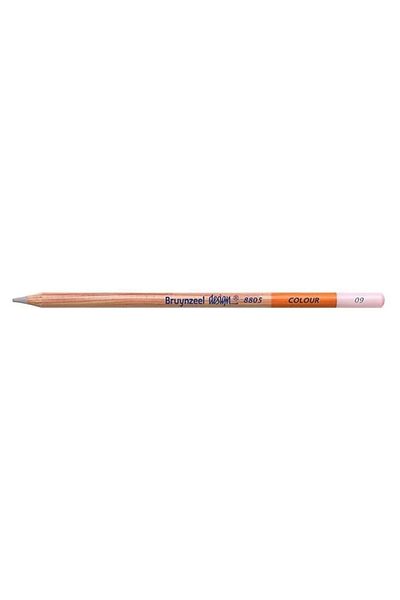 Bruynzeel Desıng Color Dry Paint Pen Brown Pink - B880509k