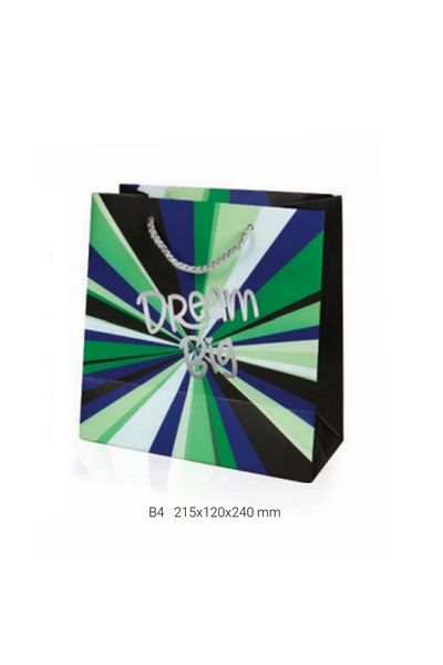 Gıpta GIPTA B4 GLINT DARK - Cardboard Bag with Gift BG1650