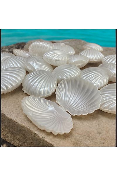 AhMir Empty Silver Oyster Mussel Box (50 Pieces) Wedding Engagement Gift Ornament Henna