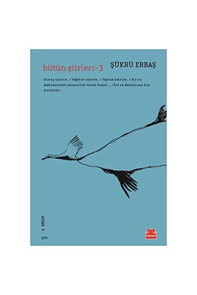 Kırmızı Kedi Yayınevi Bütün Şiirleri 3