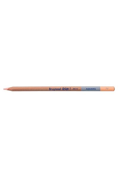 Bruynzeel Desıng Aquarell - Dry Water Color Pencil - Titanium Buff