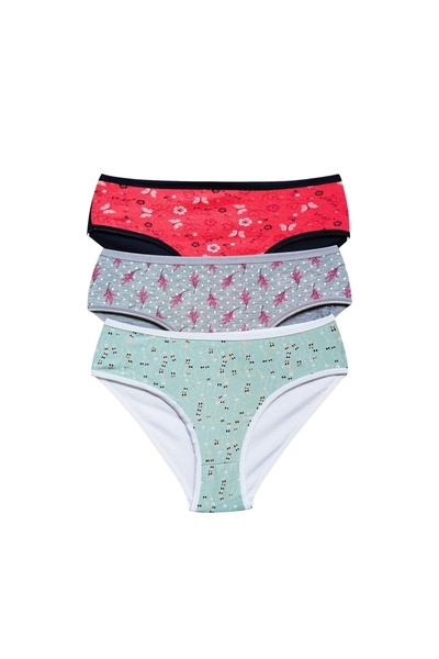 Royaleks Cotton Wide Brim Lycra Patterned Bato Women's Panties 3 Pack Set1