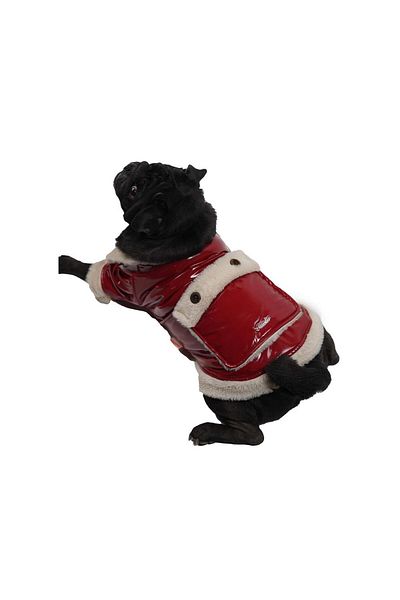 Pawstar Clara Burgundy - Small Breed Dog Coat