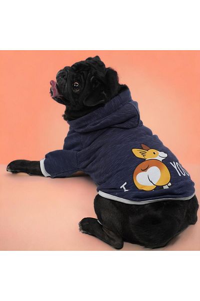 Pawstar Navy Blue Corgi Hoodie Cat-dog Hoodie- Sweatshirt Cat Dog Outfit