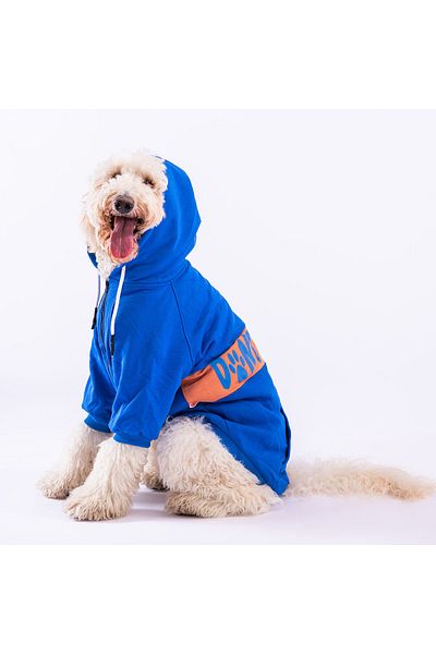 Pawstar Blue Angry Dog Dog Jacket Dog Sweat Dog Dress Dog Outfit for Medium and Large Breeds