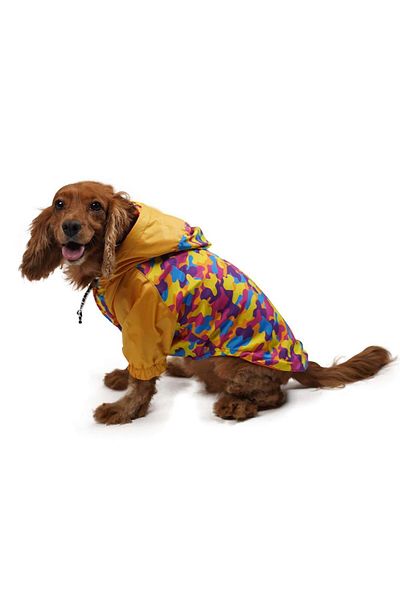 Pawstar Yellow Camouflage Cat Dog Coat Cat Dog Outfit