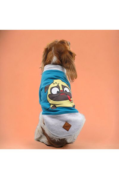 Pawstar Blue Pug Sweat Cat Dog Sweat Cat Dog Outfit
