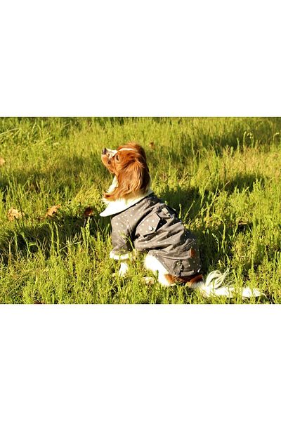 Pawstar Star Gabardine Jacket Cat Dog Jacket Cat Dog Outfit