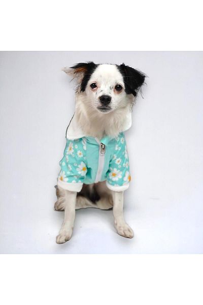 Pawstar Mint Primula Cat Dog Coat Cat Dog Clothing