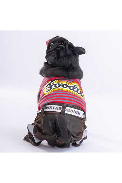 Pawstar Indigo Foodie Dog Jumpsuit Dog Outfit Cat Outfit