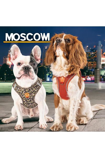 Pawstar طوق كلب بشبكة هوائية مكون من قطعتين من موسكو، طوق للقطط، طوق للكلاب