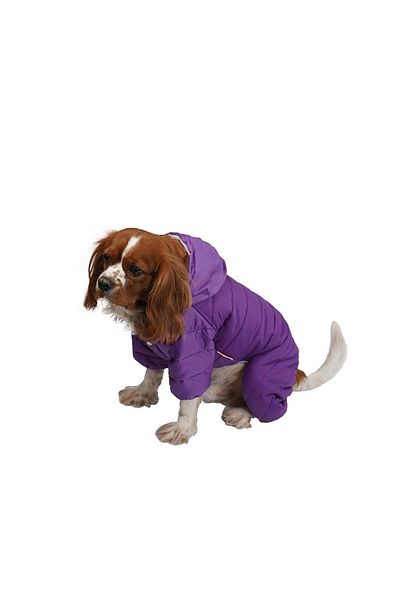 Pawstar Purple Sport Romper Jumpsuit-coat Raincoat Cat Dog Outfit for Small and Medium Breeds