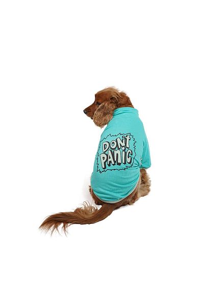 Pawstar Mint Don't Panic Sweat Cat Dog Sweat Cat Dog Outfit