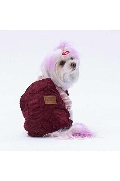 Pawstar Claret Red Salopet Cat Dog Jumpsuit Cat Dog Outfit