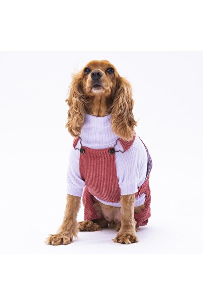 Pawstar Rose Salopet Kedi Köpek Tulum Kedi Köpek Kıyafeti