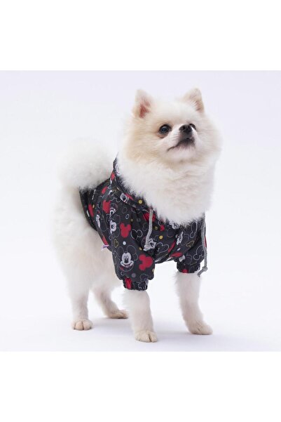 Pettrend Mickey Mouse Mont Köpek Kıyafeti Köpek Yağmurluğu
