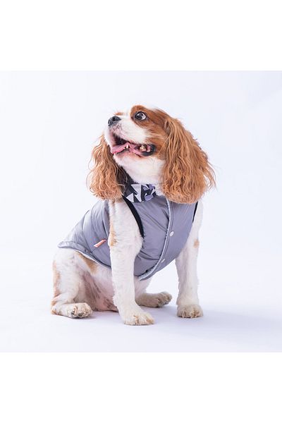 Pawstar Gray Diametro Puff Vest Dog Vest Dog Apparel Dog Raincoat