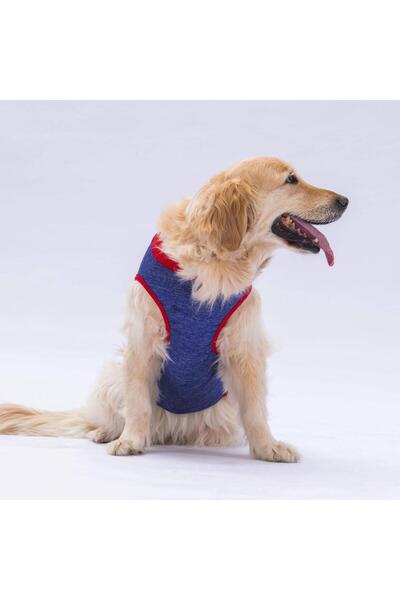 Pawstar تي شيرت كلب كبير باللون الأزرق الداكن من Summer Time - ملابس للكلاب (15 كجم - 45 كجم)