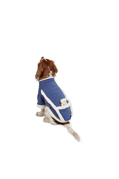 Pawstar Blue Tedy Jacket Cat Dog Jacket Cat Dog Outfit