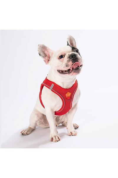Pawstar Red Air-mesh Chest Collar Cat Dog Chest Collar