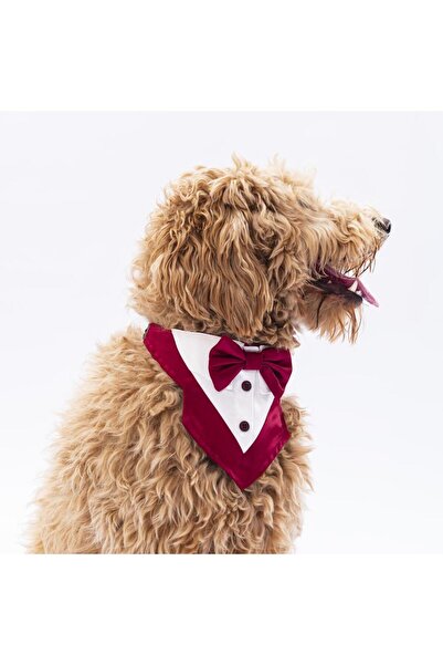 Pawstar Bordo Smokin Kedi Köpek Fuları Pet Bandanası