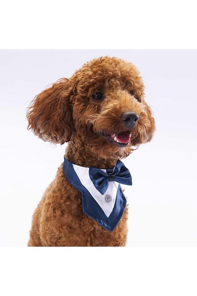 Pawstar Tuxedo Navy Blue Cat Dog Scarf Pet Bandana
