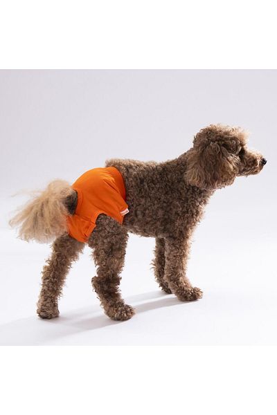 Pawstar Orange Cat-Dog Laundry - Menstrual Weight Clothing