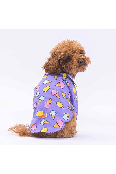 Pawstar Ice Cream Kedi Köpek Gömleği - Kedi Köpek Kıyafeti