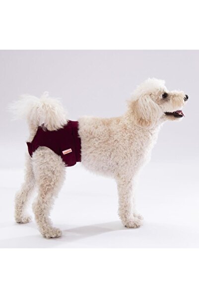 Pawstar Bordo Kedi-köpek Çamaşırı Regl Kilodu Kedi-Köpek Kıyafeti