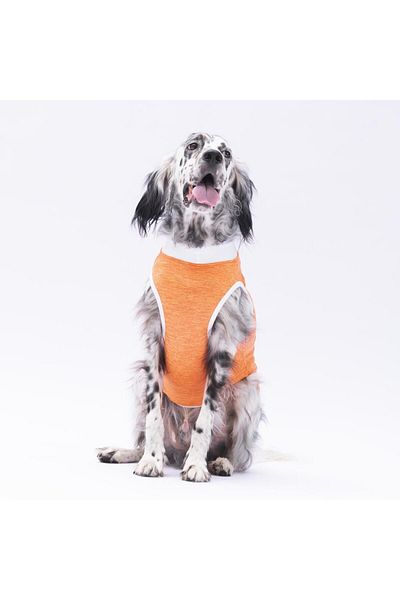 Pawstar Orange Joy Big Dog T-Shirt - 15-45 KG Dog Outfit