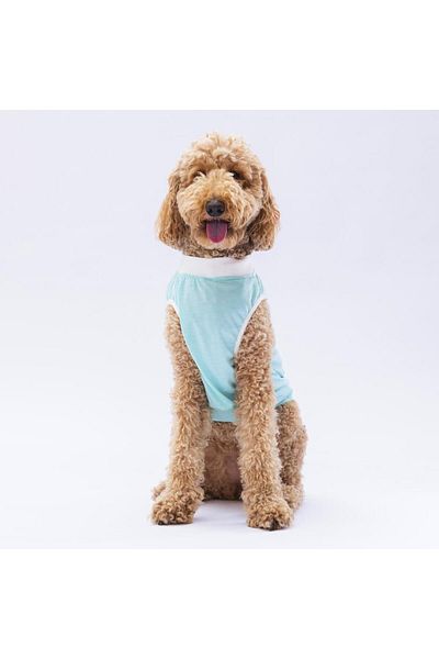 Pawstar Mint Joy Large Dog T-Shirt - Dog Apparel (15 KG-45 KG)