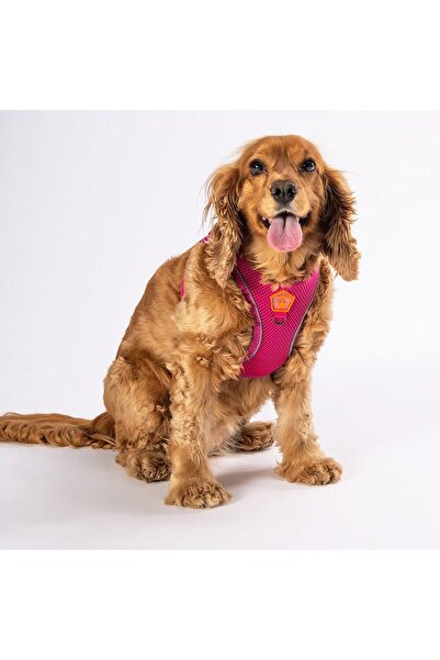 Pawstar Fuchsia Air-mesh Chest Collar Cat Dog Chest Collar