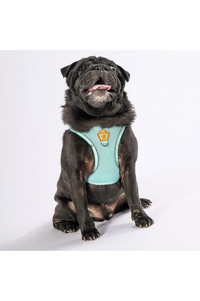 Pawstar Mint Air-mesh Chest Collar Cat Dog Chest Collar