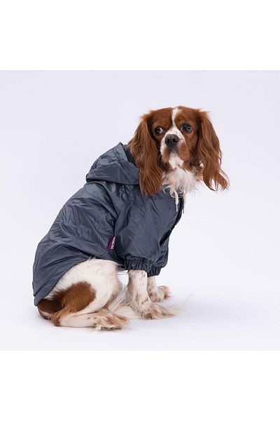 Pettrend Anthracite Coat Dog Coat Dog Apparel Dog Raincoat