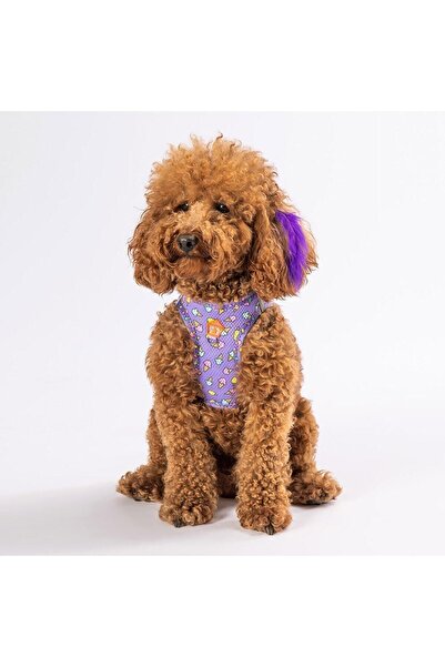 Pawstar Ice Cream Air-mesh Chest Collar Cat Dog Chest Collar