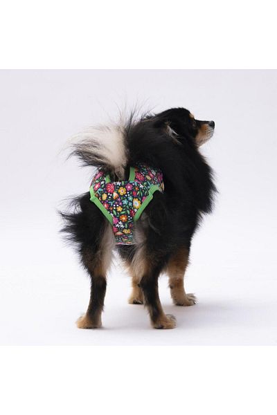 Pawstar Navy Blue Green Floral Patterned Cat-Dog Laundry - Menstrual Weight Clothing