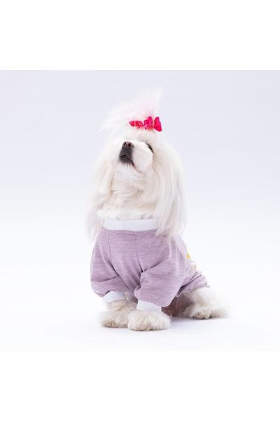 Pawstar Lilac Dude Cat Dog Sweatshirt - Cat Dog Outfit