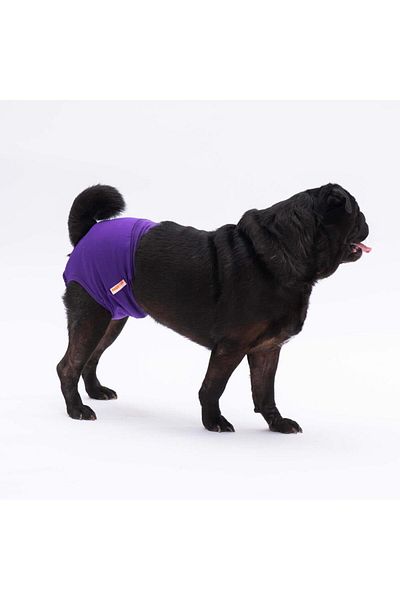 Pawstar Purple Cat-Dog Clothes Menstrual Weight Cat Dog Clothes