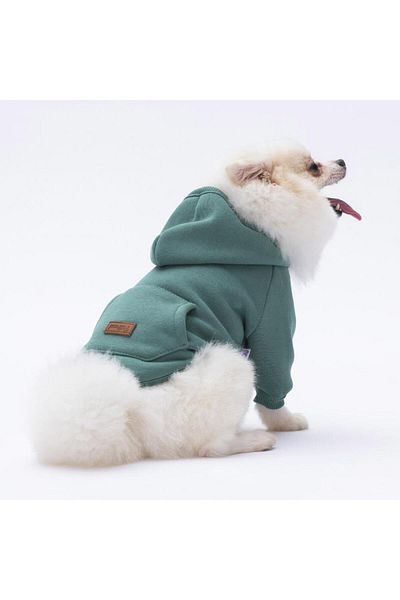 Pettrend Cagla Green Kangaroo Pocketed Cat-dog Hoodie- Sweatshirt Cat Dog Outfit