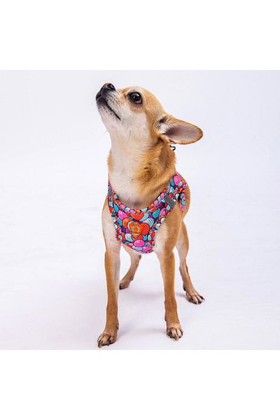 Pawstar البالونات شبكة الهواء طوق الصدر القط طوق الصدر الكلب
