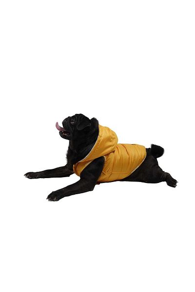Pawstar Yellow Sport Anorak Vest for Small and Medium Breeds Cat Dog Outfit