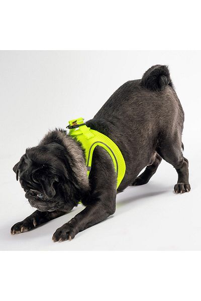 Pawstar Neon Yellow Air-mesh Chest Collar Cat Dog Chest Collar