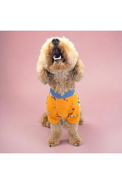 Pettrend Tweety Sweatshirt Cat Dog Sweatshirt-Cat Dog Outfit
