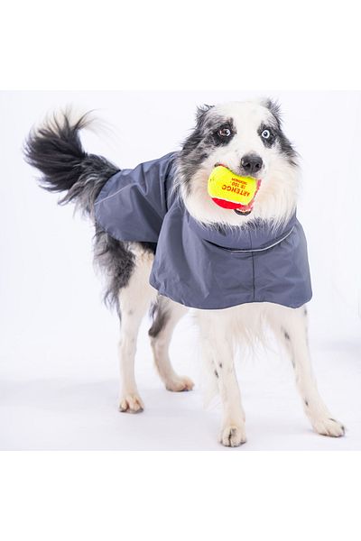 Pawstar Gray Colombia Medium and Large Breed Dog Raincoat Dog Apparel Dog Dress