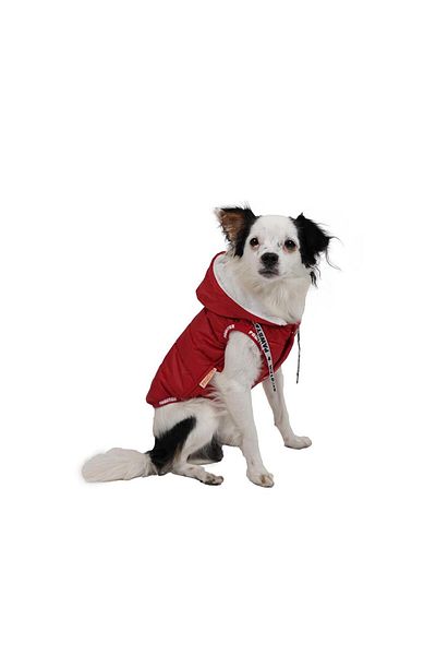 Pawstar Red Sport Anorak Vest for Small and Medium Breeds Cat Dog Outfit