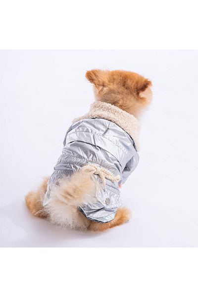 Pawstar Silver Brillante Dog Coat Dog Raincoat Dog Apparel Dog Dress