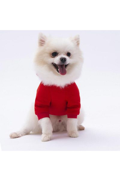 Pettrend Red Kangaroo Pocket Cat-Dog Hoodie- Sweatshirt Cat Dog Outfit