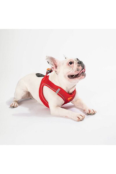 Pawstar Red Air-mesh Chest Collar Cat Dog Chest Collar