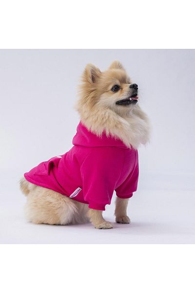 Pettrend Rabbit Kangaroo Pocket Hoodie Cat-dog Hoodie- Sweatshirt Cat Dog Outfit
